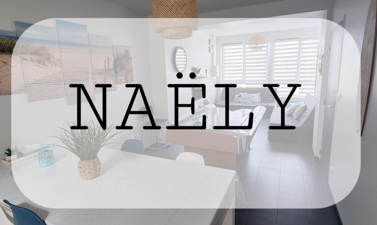 Thelna Naely Apartment Bray-Dunes Luaran gambar